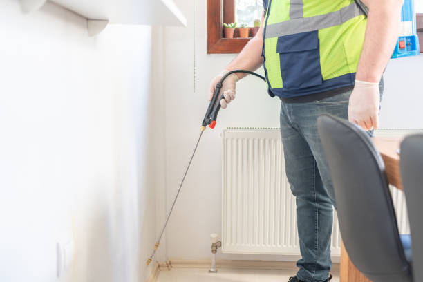 Trusted Freeport, TX Pest Control Experts