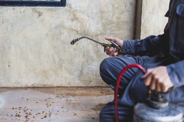 Pest Control Cost in Freeport, TX